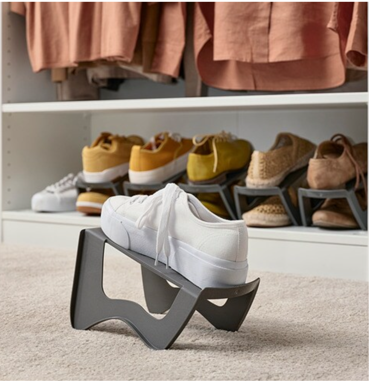 Shoe organiser