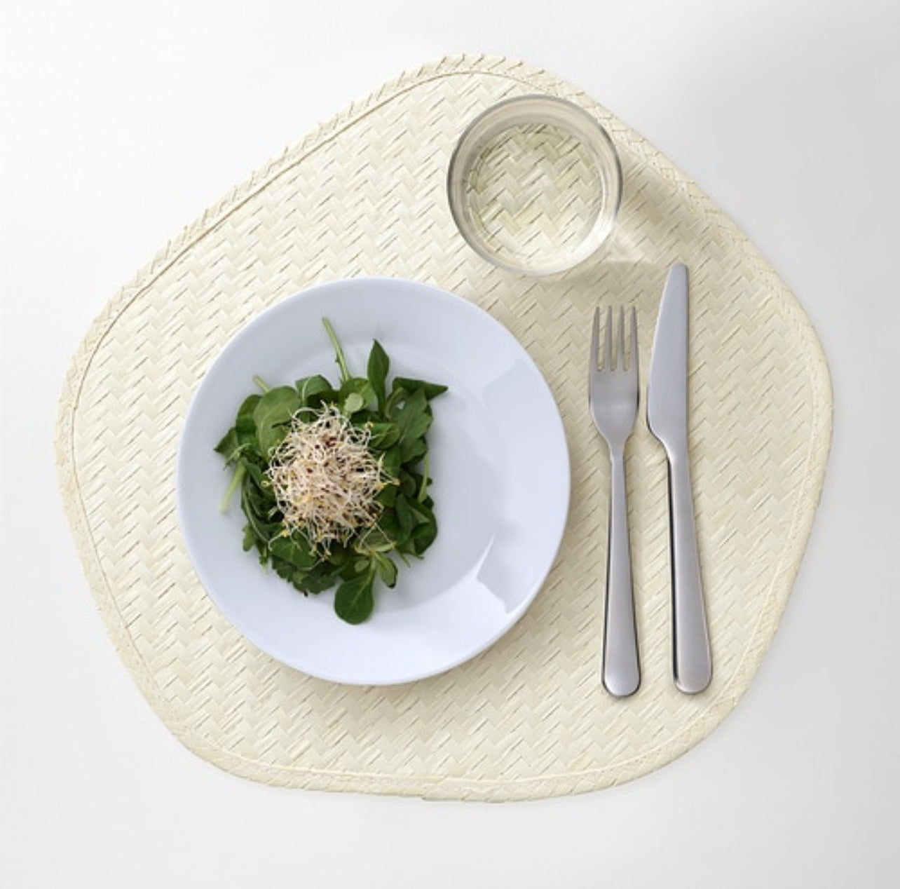 Place mat palm leaf