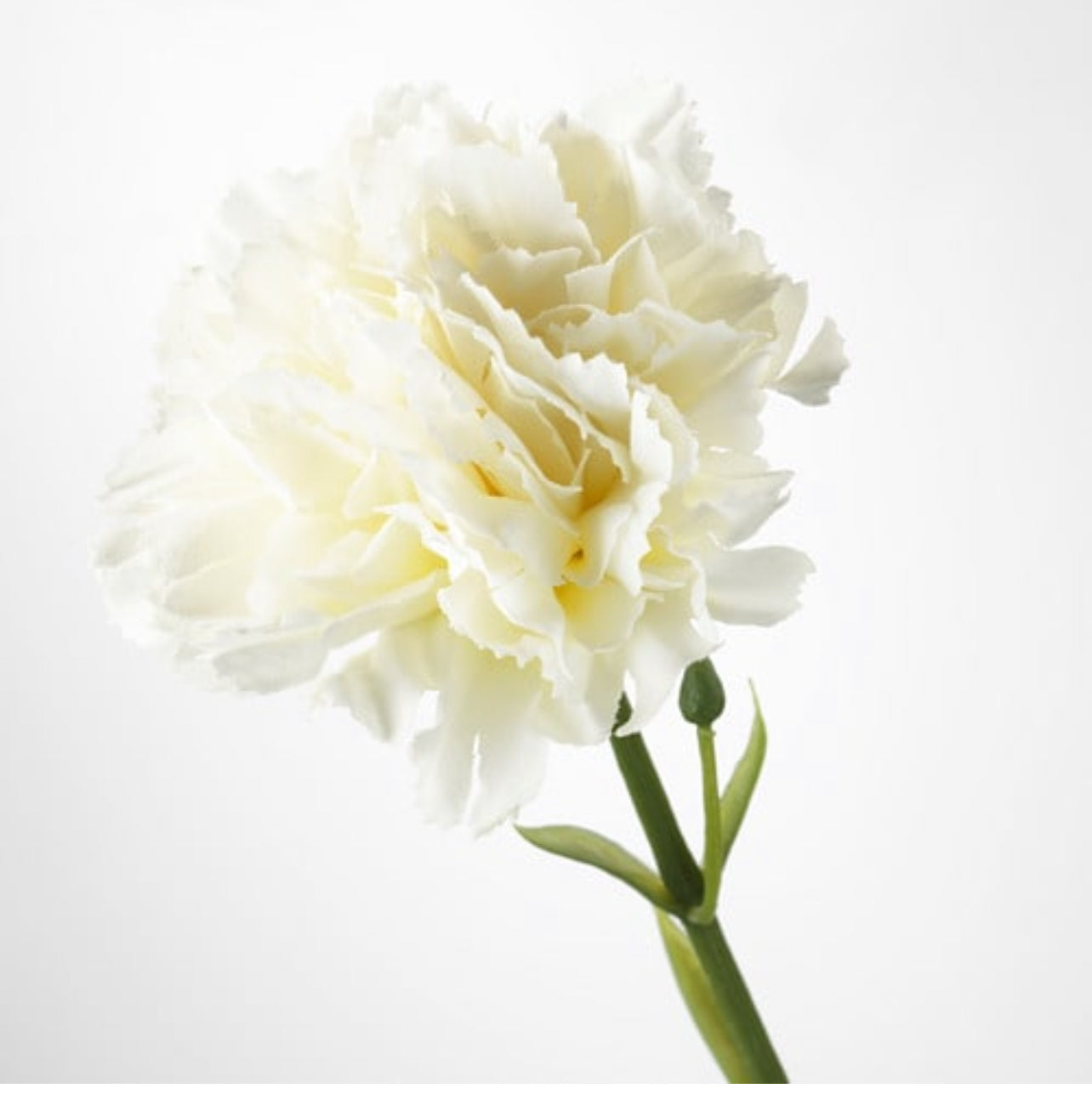 White artificial flower